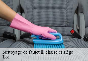 Nettoyage de fauteuil, chaise et siège 46 Lot  TAPISSIER 46