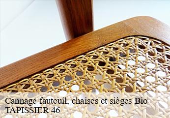 Cannage fauteuil, chaises et sièges  bio-46500 TAPISSIER 46