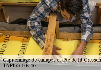 Capitonnage de canapés et tête de lit  cressensac-46600 TAPISSIER 46